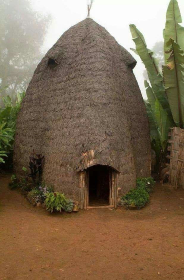 Traditional elephant-shaped bamboo houses in Dorze Village Ethiopia
